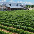 Exploring the World of Wine: A Guide to Helotes Winery in Texas